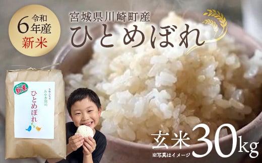 【令和6年産】みやぎ川崎産 ひとめぼれ 30㎏（玄米）【04324-0097】