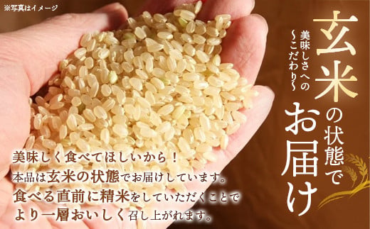 【令和6年産】みやぎ川崎産 ひとめぼれ 30㎏（玄米）【04324-0097】