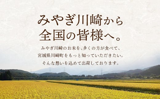 【令和6年産】みやぎ川崎産 ひとめぼれ 30㎏（玄米）【04324-0097】