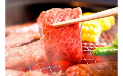 和牛セレブの神戸牛6種の希少部位焼肉食べ比べ420g / 神戸牛 焼肉 食べ比べ 6種 肩ロース まるかわ しんしん カルビ トモ三角 カメノコウ 焼肉用 牛肉 お肉 切り落とし 肉 黒毛和牛 神戸ビーフ【お肉ギフト専門店 和牛セレブ】