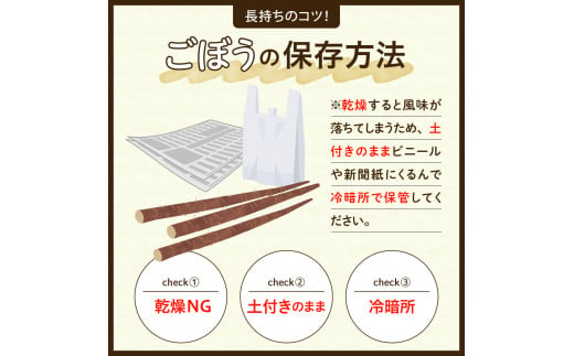 【先行受付】【2025年5月中旬より順次発送】北海道十勝芽室町 なまら十勝野 芽室町産 春掘りごぼう【柳川理想】M2kg me001-031c