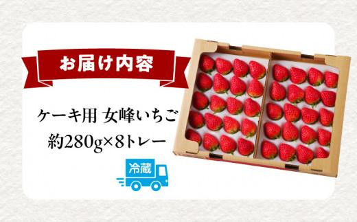 希少ないちご ケーキ用 女峰いちご 約2.2kg【2025年1月上旬～2025年5月下旬配送】