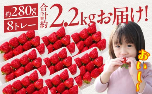 希少ないちご ケーキ用 女峰いちご 約2.2kg【2025年1月上旬～2025年5月下旬配送】