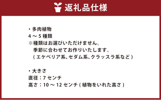 【青】 カラーサンドアート 多肉植物 色砂 アート作品 