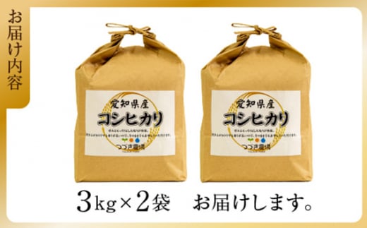 No.167 愛知県産コシヒカリ　6kg ／ お米 白米 精米 こしひかり 愛知県