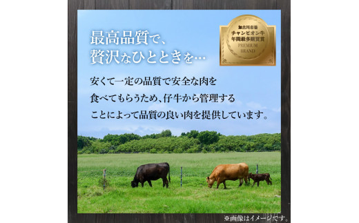 「熟成肉ロース」ステーキ(180g)《焼肉 ロース 180g 和牛 ステーキ 国産 牛肉 赤身 贅沢 》【2404A00410】