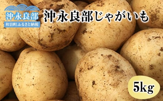 【2025年先行予約】私も惚れたホクホク食感！まるとよ農産の「沖永良部じゃがいも」5kg！【1月下旬～5月下旬】　W009-029u