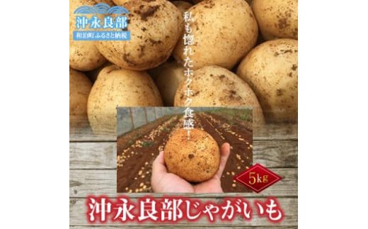 【2025年先行予約】私も惚れたホクホク食感！まるとよ農産の「沖永良部じゃがいも」5kg！【1月下旬～5月下旬】　W009-029u