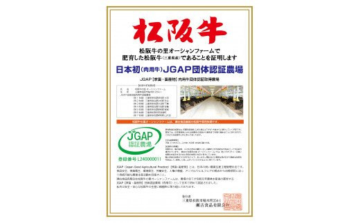 SS01　松阪牛味付ホルモンミックス　300g×３P／（冷凍）瀬古食品　JGAP認定　松阪肉　名産　お取り寄せグルメ　三重県　大台町