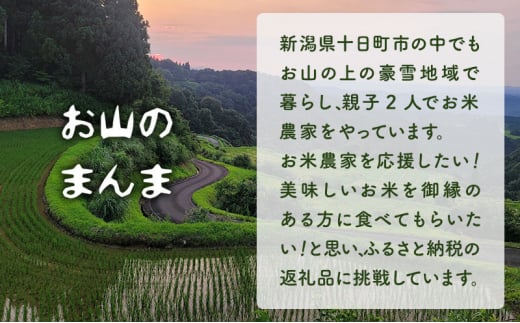 農家直送 新潟県十日町市 魚沼産天水田 コシヒカリ お山のまんま 白米 5kg×2袋セット