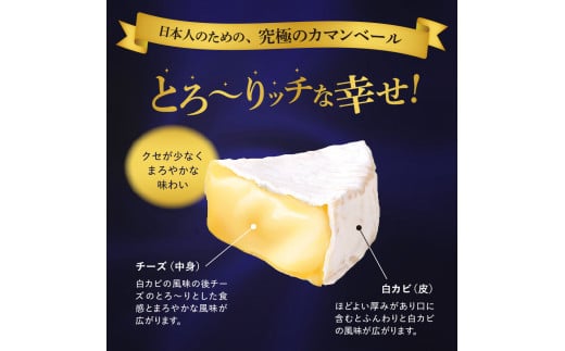 【隔月3回コース定期便】明治北海道十勝チーズ カマンベール4種5個セット 計3回 me003-068-k3c