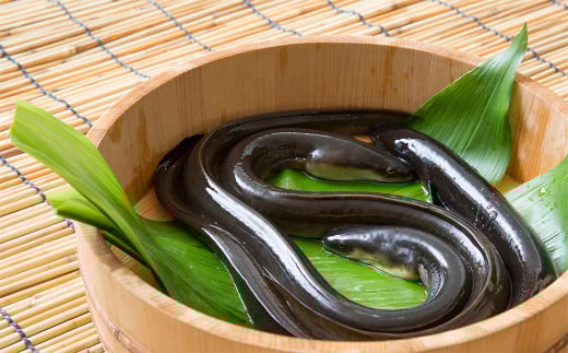 創業300年 うなぎ料理専門店 元祖本吉屋 特製国産うなぎの丼ぶり（1人前）