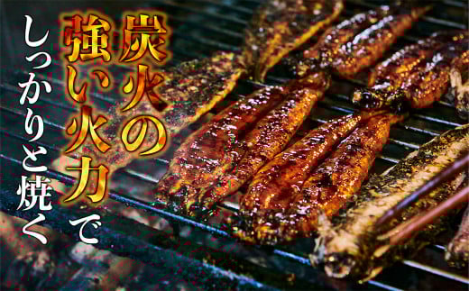 創業300年 うなぎ料理専門店 元祖本吉屋 特製国産うなぎの丼ぶり（1人前）