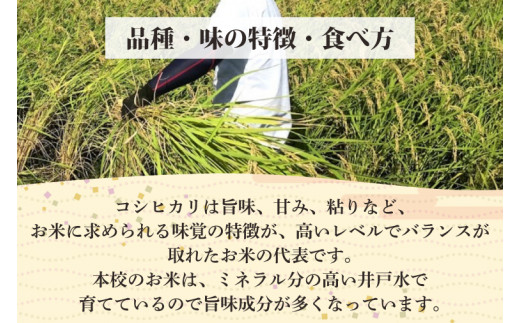 【6ヶ月定期便】【令和6年産】学生と作ったコシヒカリ計60kg（10kg×6回）【お米 米 コメ ごはん 15万円以下 60キロ 茨城県 水戸市 水戸】（DN-25）