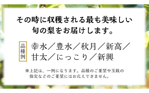 《 先行予約 》 品種おまかせ 梨 約 3kg（ 茨城県共通返礼品： かすみがうら市 ）【 2024年 9月発送 】 フルーツ 果物 なし ナシ 旬 新鮮 旬 期間限定 甘い 国産