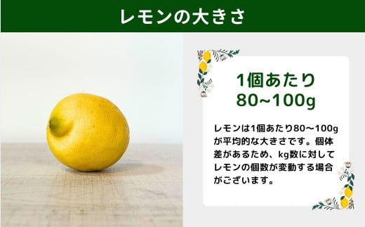 [12〜1月発送] 有機JAS認証 瀬戸内オーガニックレモン 3kg 国産 大崎上島 皮まで安心 瀬戸内レモン 有機栽培 有機 オーガニック フルーツ 果物