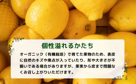 [12〜1月発送] 有機JAS認証 瀬戸内オーガニックレモン 3kg 国産 大崎上島 皮まで安心 瀬戸内レモン 有機栽培 有機 オーガニック フルーツ 果物