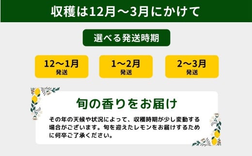 [12〜1月発送] 有機JAS認証 瀬戸内オーガニックレモン 3kg 国産 大崎上島 皮まで安心 瀬戸内レモン 有機栽培 有機 オーガニック フルーツ 果物