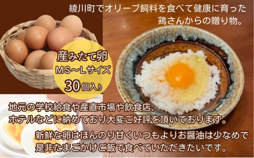 [№5911-0340]オリーブたまご30個　オリーブ飼料を食べて健康に育った鶏さんからの贈り物