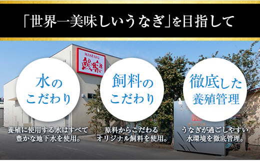 ◆宮崎県産ハーブうなぎ蒲焼 3尾(計480g)