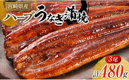 ◆宮崎県産ハーブうなぎ蒲焼 3尾(計480g)