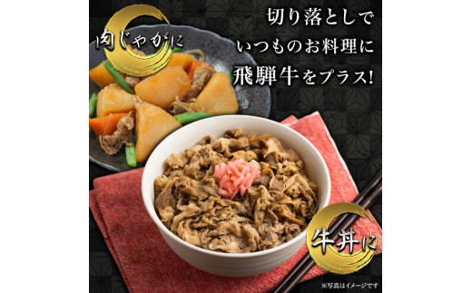 飛騨牛切り落とし　1kg（250ｇ×4P）すき焼き 焼肉 小分け 岐阜市/丸福商店 [ANBO005]