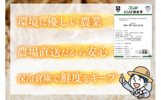 【定期便】 【隔月3回お届け】  【令和6年産 新米】 つきあかり 白米 5kg×3回 福井県産 若狭の恵