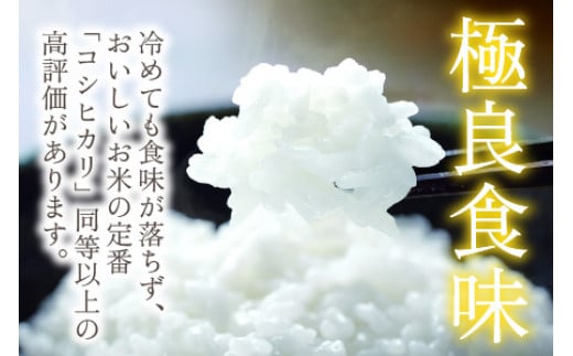 【定期便】 【隔月3回お届け】  【令和6年産 新米】 つきあかり 白米 5kg×3回 福井県産 若狭の恵