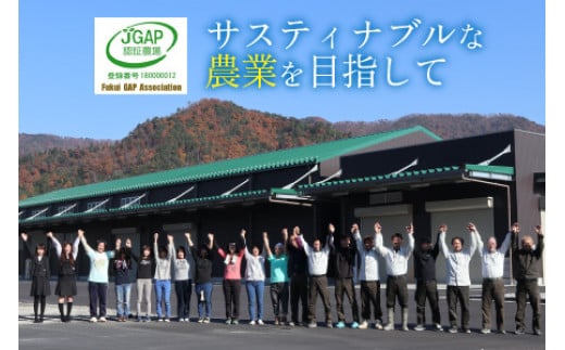 【定期便】 【隔月3回お届け】  【令和6年産 新米】 つきあかり 白米 5kg×3回 福井県産 若狭の恵