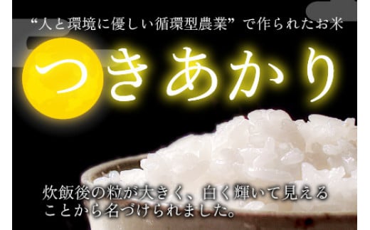 【定期便】 【隔月3回お届け】  【令和6年産 新米】 つきあかり 白米 5kg×3回 福井県産 若狭の恵