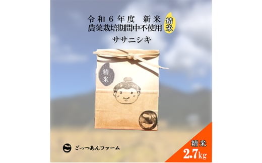 令和6年度産 新米 【どすこい米】自然栽培 ササニシキ 精米 2.7kg  [№5771-1382]