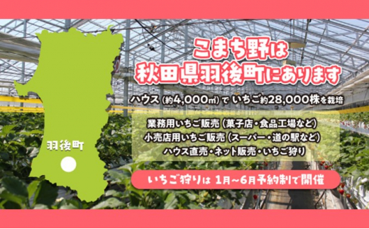 冷凍いちご　4kg（500g×8）国産 イチゴ ジャム スムージー お菓子づくり 大容量