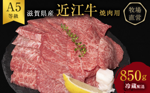 【近江牛 西川畜産】A5ランク雌牛 焼肉用 約850g （モモ・カタ・ウデ・バラ系等）