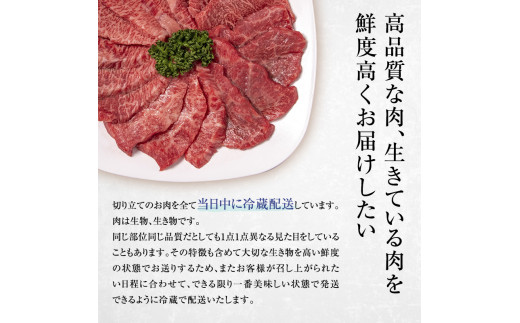 【近江牛 西川畜産】A5ランク雌牛 焼肉用 約850g （モモ・カタ・ウデ・バラ系等）