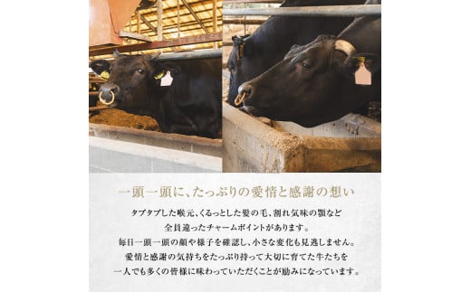 【近江牛 西川畜産】A5ランク雌牛 焼肉用 約850g （モモ・カタ・ウデ・バラ系等）