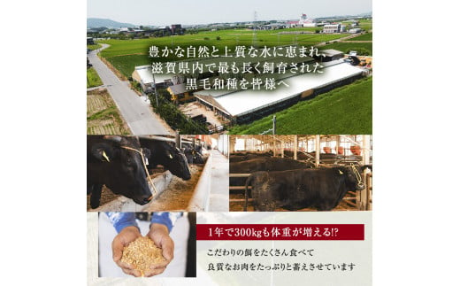 【近江牛 西川畜産】A5ランク雌牛 焼肉用 約850g （モモ・カタ・ウデ・バラ系等）