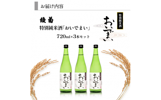 [№5911-0336]綾菊　特別純米酒「おいでまい」　3本セット