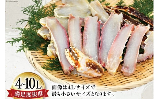 【年内配送 12/15まで受付】生 タラバガニ ハーフカット 総重量1kg (正味重量800g) 4-10Lサイズ [カネダイ 宮城県 気仙沼市 20564344] カニ 蟹 タラバ たらば タラバ蟹 たらば蟹 たらばがに 鍋