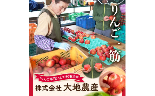 《先行予約》【1月発送予定】 サンふじ約5kg・秀品【大江町産・山形りんご・大地農産】【028-026】