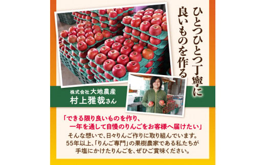 《先行予約》【1月発送予定】 サンふじ約5kg・秀品【大江町産・山形りんご・大地農産】【028-026】