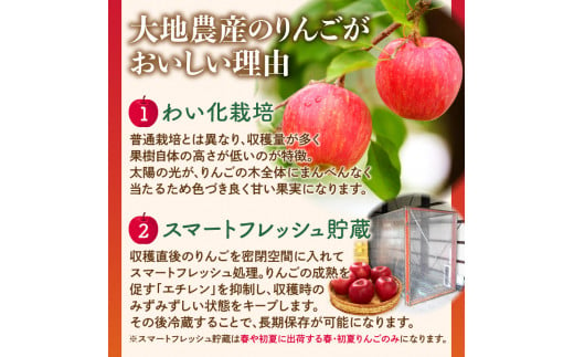 《先行予約》【1月発送予定】 サンふじ約5kg・秀品【大江町産・山形りんご・大地農産】【028-026】