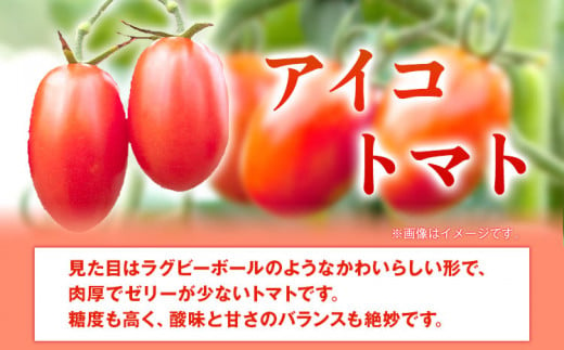 和歌山産 ミニ トマト アイコトマト 約 2kg SまたはMサイズ サイズおまかせ 厳選館《2025年4月上旬-5月中旬頃出荷》 和歌山県 日高町 トマト とまと アイコトマト 送料無料  【配送不可地域あり】