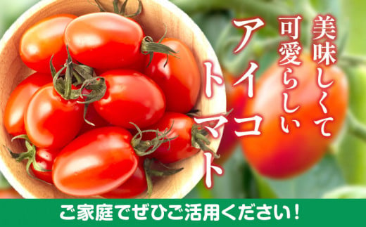 和歌山産 ミニ トマト アイコトマト 約 2kg SまたはMサイズ サイズおまかせ 厳選館《2025年4月上旬-5月中旬頃出荷》 和歌山県 日高町 トマト とまと アイコトマト 送料無料  【配送不可地域あり】