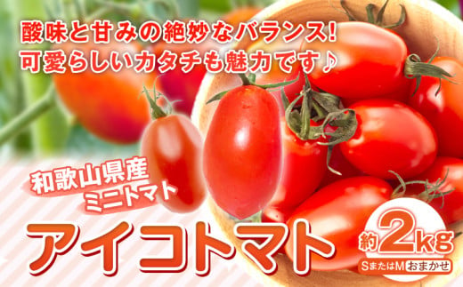 和歌山産 ミニ トマト アイコトマト 約 2kg SまたはMサイズ サイズおまかせ 厳選館《2025年4月上旬-5月中旬頃出荷》 和歌山県 日高町 トマト とまと アイコトマト 送料無料  【配送不可地域あり】