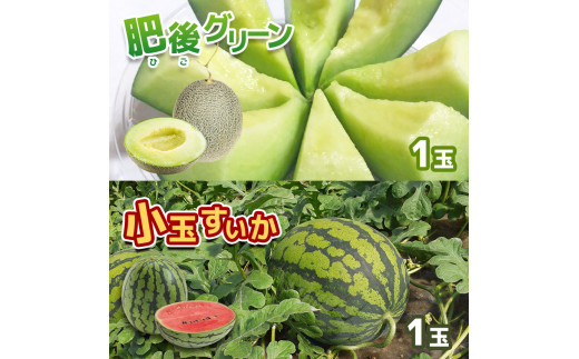 肥後グリーン メロン 1玉(2kg) ＆ 小玉 すいか 1玉(2kg) ひとりじめ 計4kg