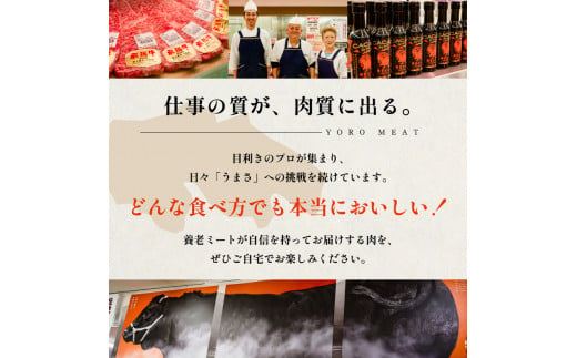 飛騨牛　最高5等級 厚切りロースステーキ用 300g×5枚【岐阜県 可児市 肉 お肉 牛肉 ブランド牛 ステーキ 厚め 国産 旨味  黒毛和牛 和牛 冷凍 お取り寄せ グルメ 】