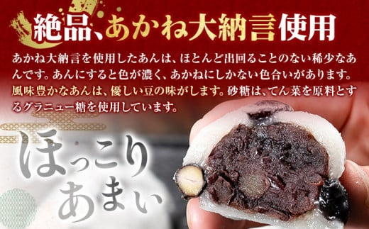 大福 塩豆大福 和菓子 豆の町から生まれた塩豆大福 本別町産 12個《45日以内に順次出荷》北海道 本別町 送料無料 あんこ 餡 豆 だいふく 塩豆 菓子 お菓子 おやつ スイーツ お取り寄せ お取り寄せスイーツ