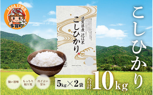 【令和6年産】BG無洗米 こしひかり 10kg ～ヌカでヌカを取る安心安全な精米方法で精米したBG無洗米～ [B-00402] / コシヒカリ 無洗米 精米 