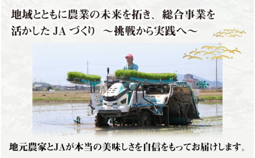 【令和6年産】BG無洗米 こしひかり 10kg ～ヌカでヌカを取る安心安全な精米方法で精米したBG無洗米～ [B-00402] / コシヒカリ 無洗米 精米 