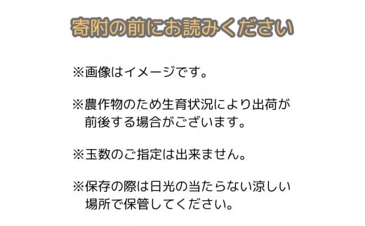 【南信州高森町産】甘くてジューシーな梨 南水 5kg